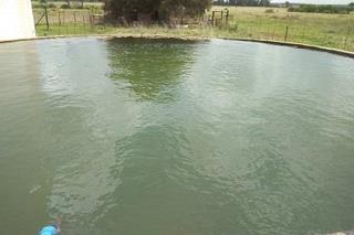  Bedroom Property for Sale in Marquard Rural Free State